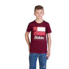 Dickies Madison T-Shirt (Usa Flag)