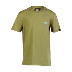 Dickies Boys Springhill T-Shirt Olive